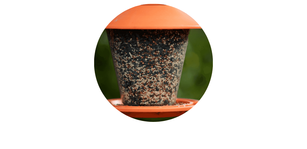 Mangeoires pour oiseaux