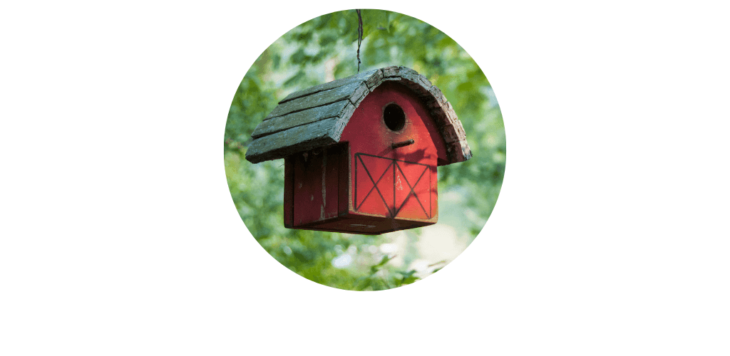 Nichoirs pour oiseaux