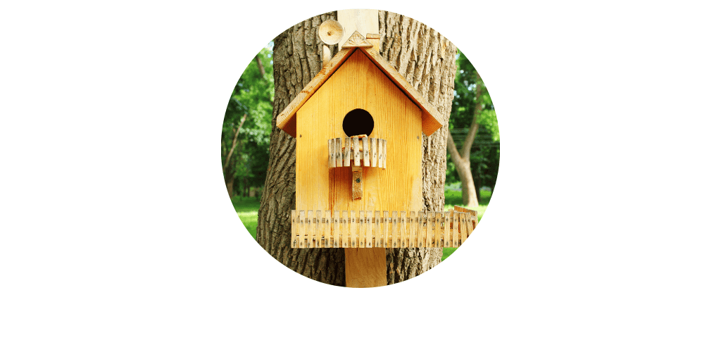 Cabanes et maisons pour oiseaux