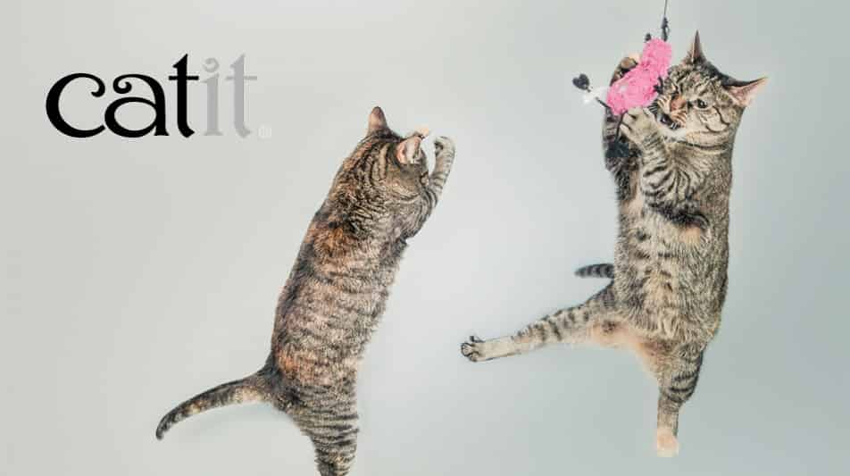 Cat it accessoires pour chat