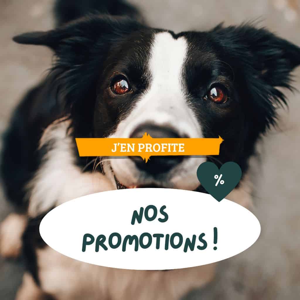 Bons plans