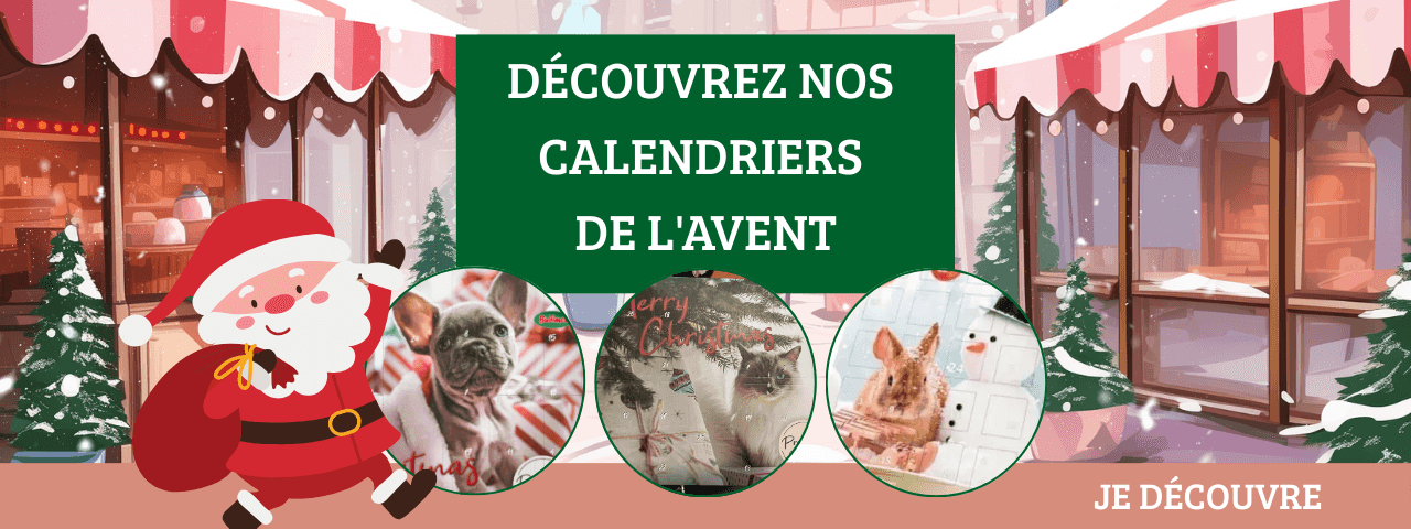 Calendriers  de l'avent animaux