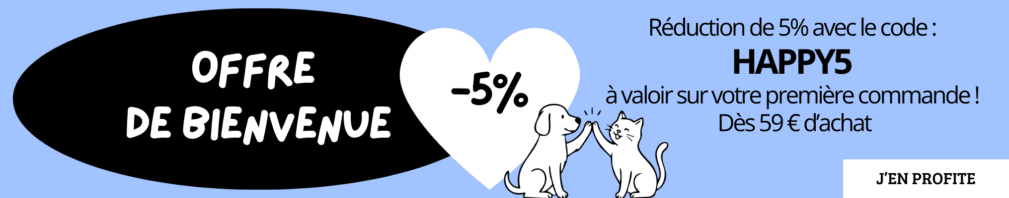 Code promo bienvenue