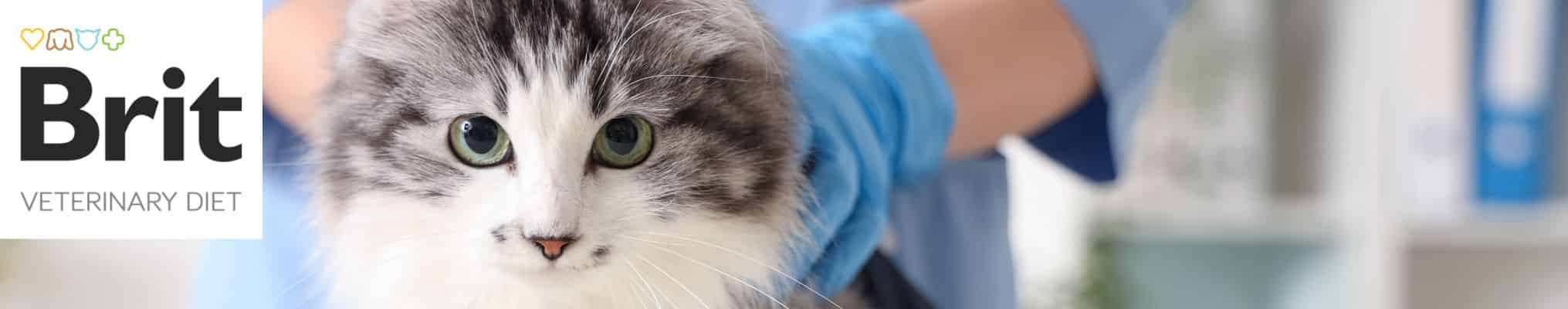 Brit Vet - Aliments diététiques vétérinaires sans céréales