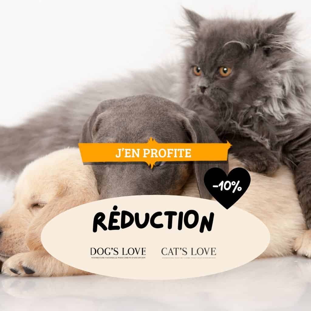 Yarrah : Offre découverte 25% de réduction !