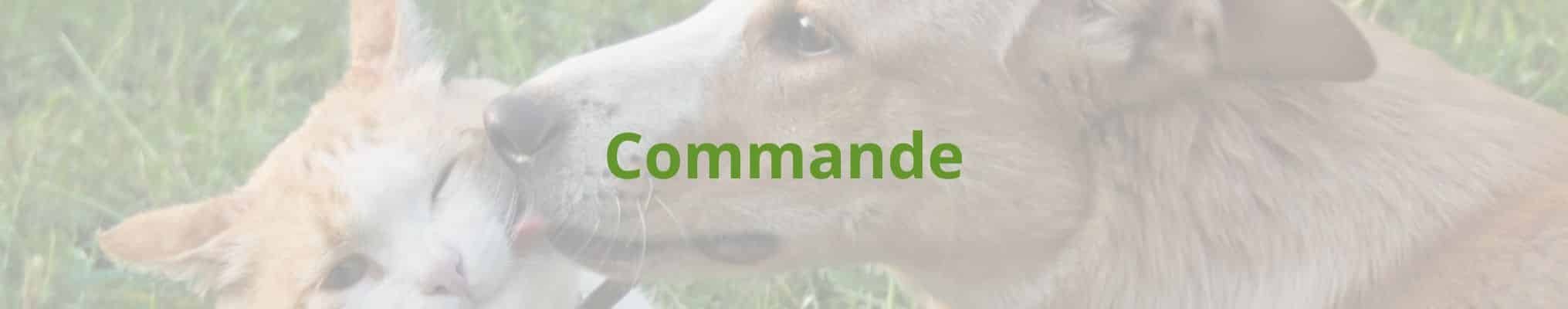 Commande