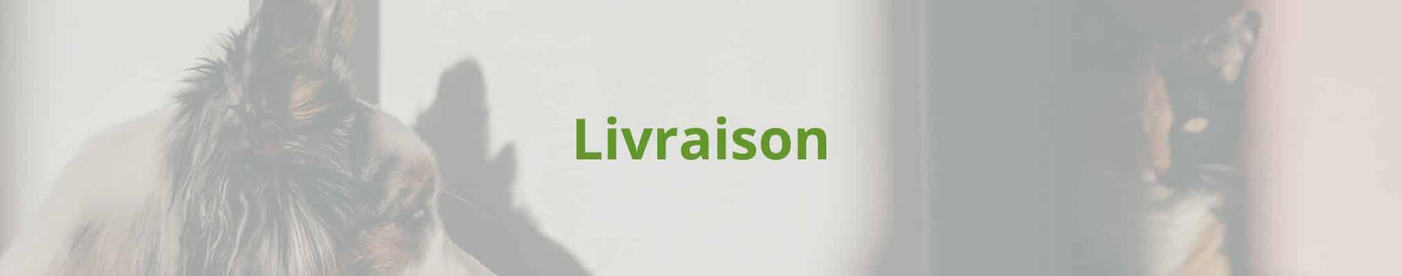 Livraison