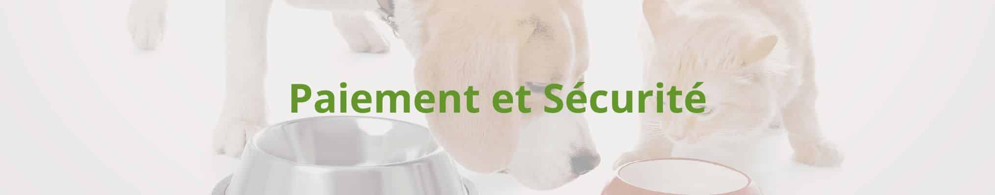 Paiement et Sécurité