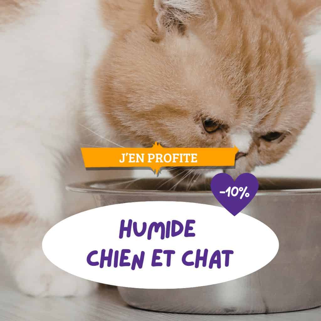 Humide chien et chat : 10% de remise