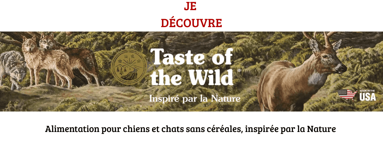 BONS PLANS