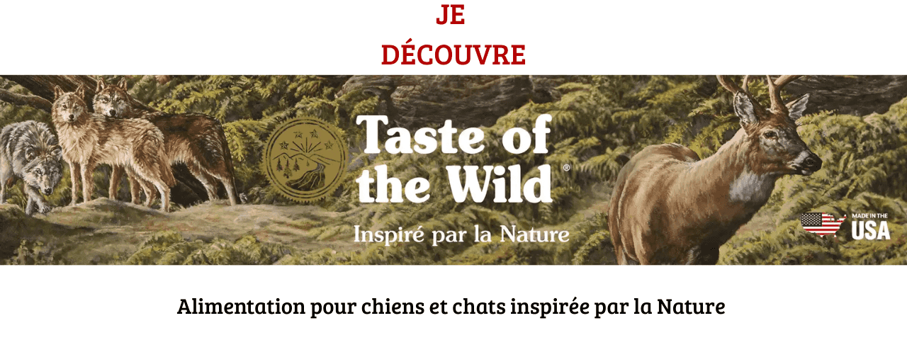 BONS PLANS