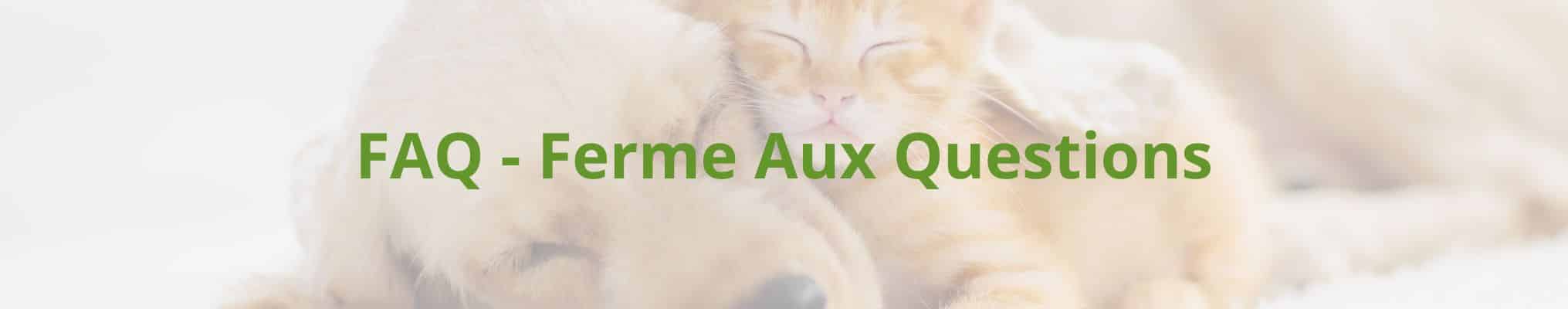 FAQ - Ferme Aux Questions