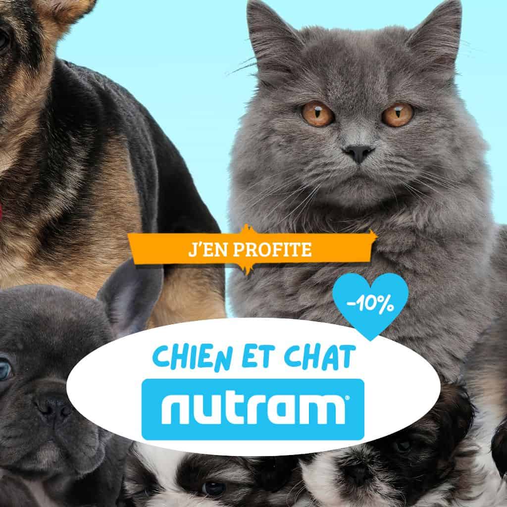 Toilettage : sélection de shampoings chien/chat avec remise de 10%