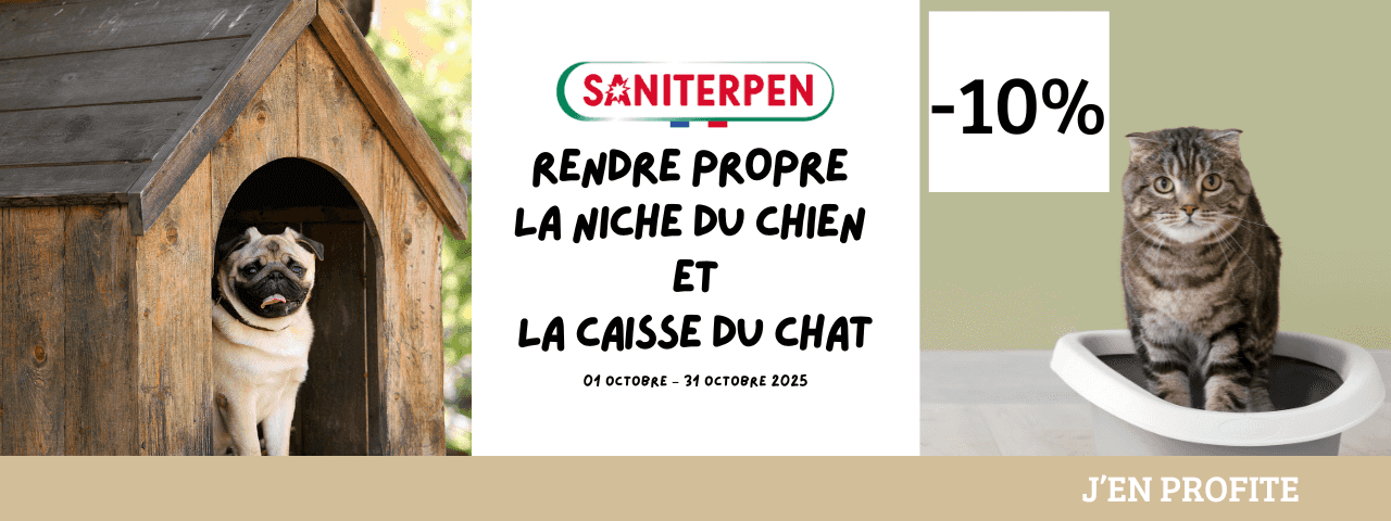 BONS PLANS
