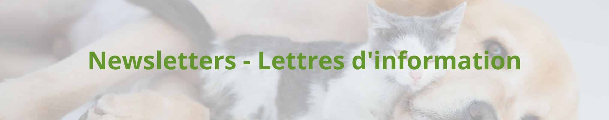 Newsletters - Lettres d'information