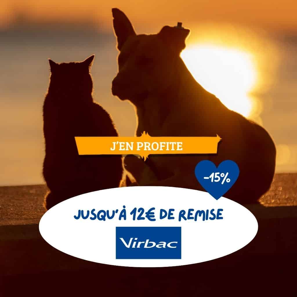 Yarrah : Offre découverte 25% de réduction !