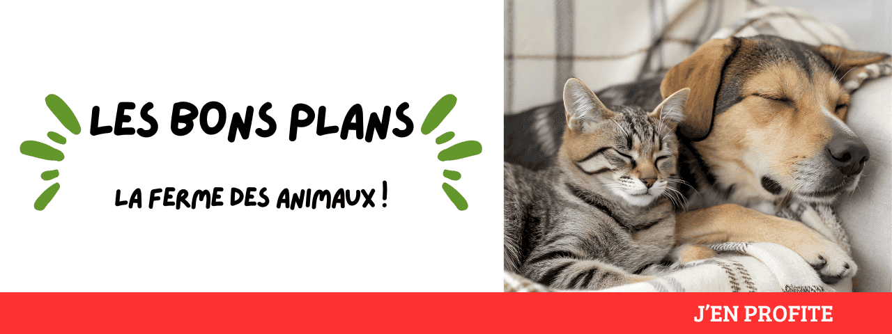 Promotions la ferme des animaux