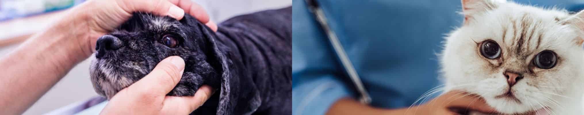 Produits Dômes Pharma