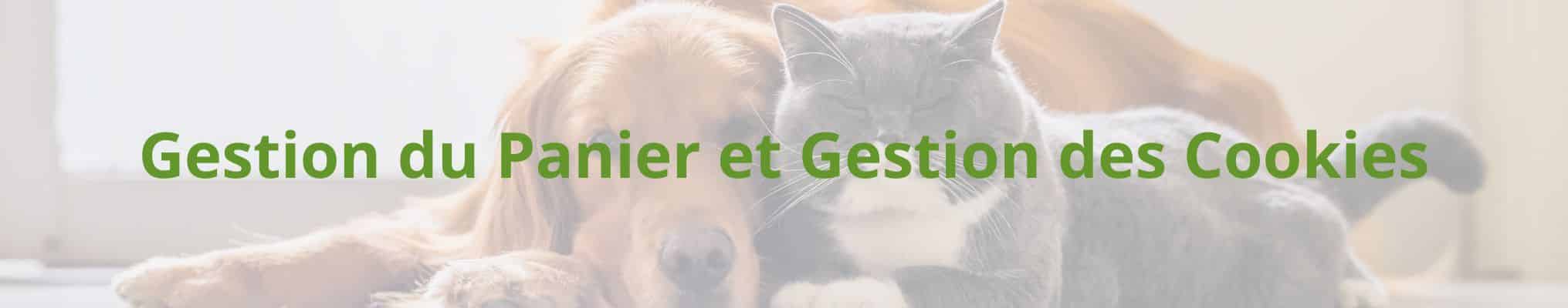 Gestion du Panier et Gestion des Cookies