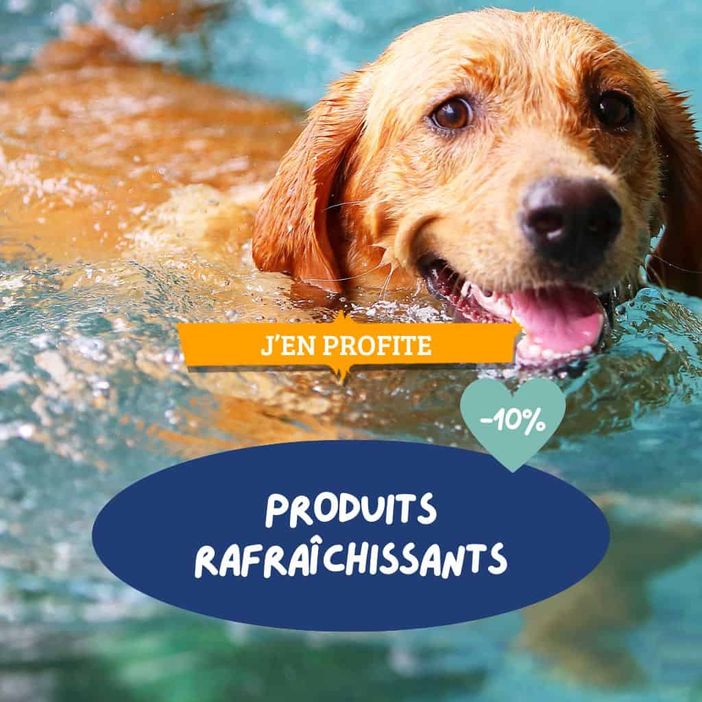 produits rafraîchissants chien et chat