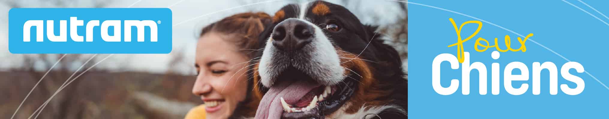 Croquettes pour chien