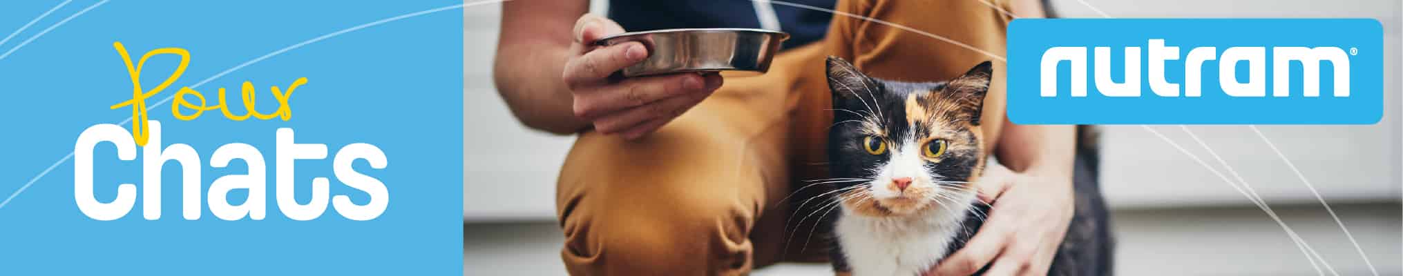 Croquettes chat