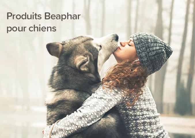 pour chien