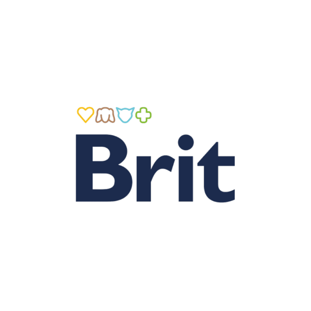 Croquettes Brit chat