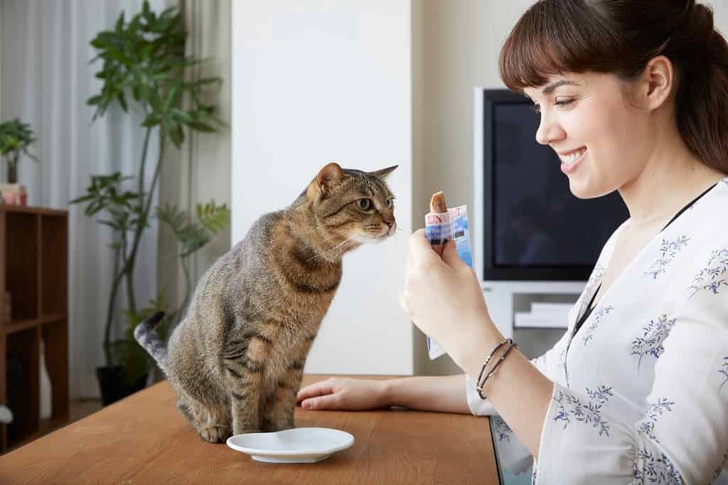 Inaba chat