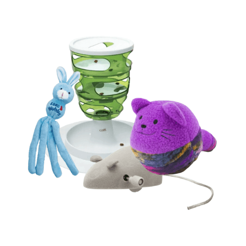 Jouets pour chaton