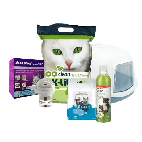 Propreté et soins pour chaton