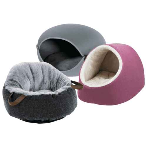 Coussins pour chaton