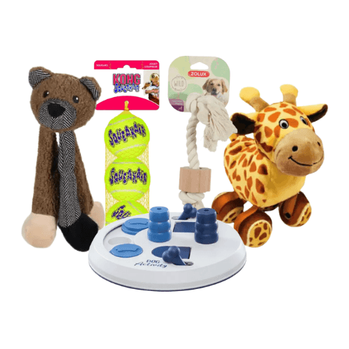 Jouets pour chien