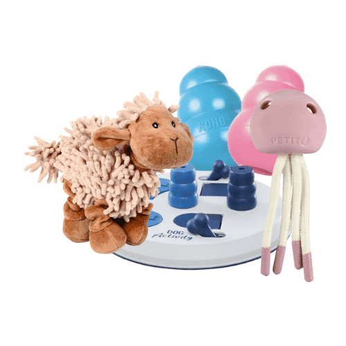 Jouets pour chiot