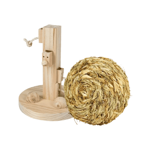 Jouets pour écureuil