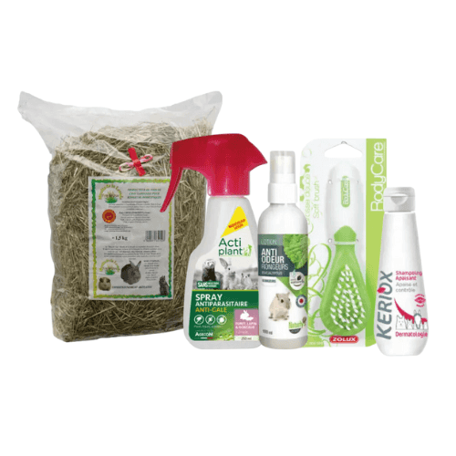 Hygiène et soins de la gerbille