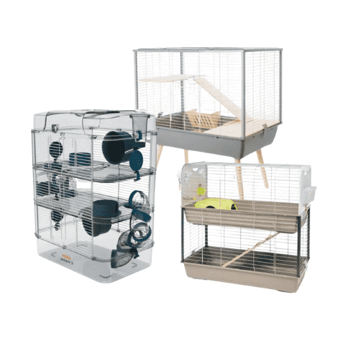 Cages pour octodon
