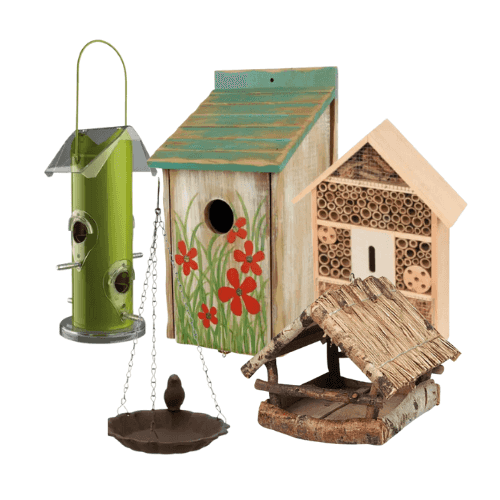 Oiseaux de la nature