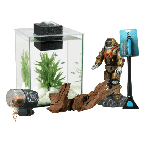 Habitat pour poisson