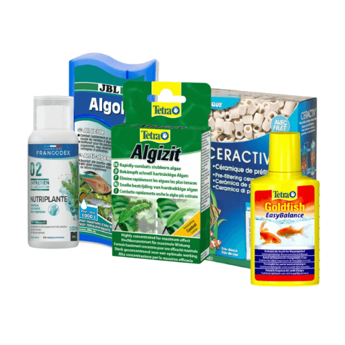 Traitements et soins pour poisson