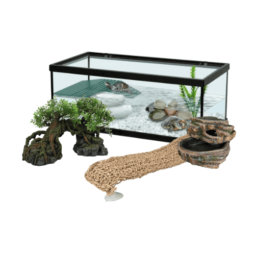 Habitat pour reptiles