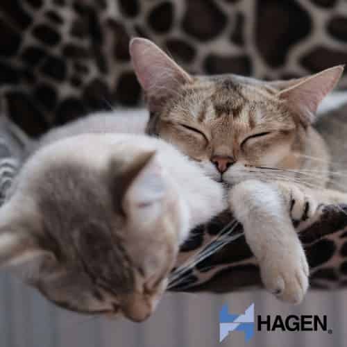 produits hagen