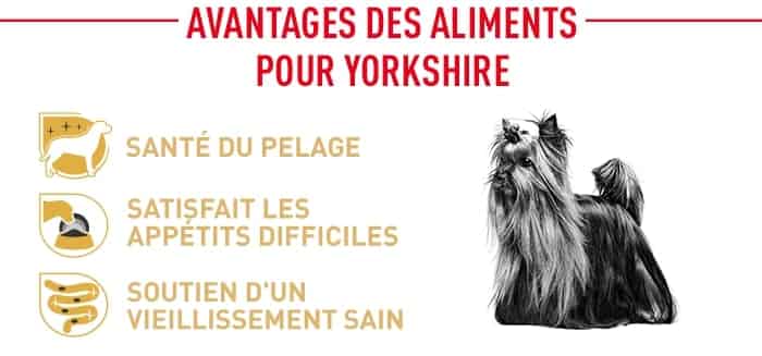 croquettes royal canin