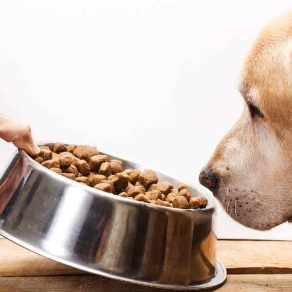 Vers une transition alimentaire satisfaisante