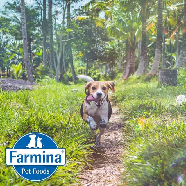 Farmina