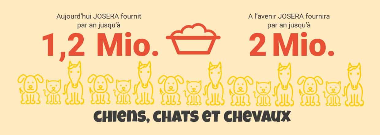 fournisseur de croquettes