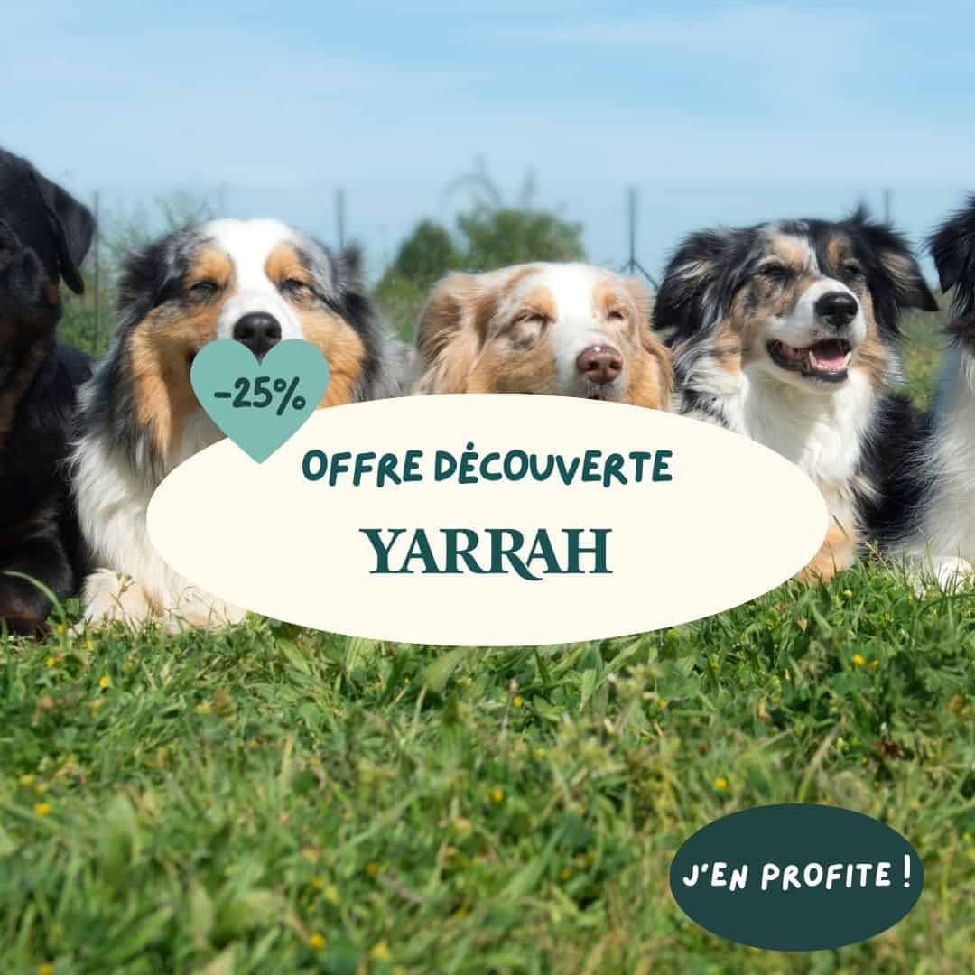 Yarrah : Offre découverte 25% de réduction !