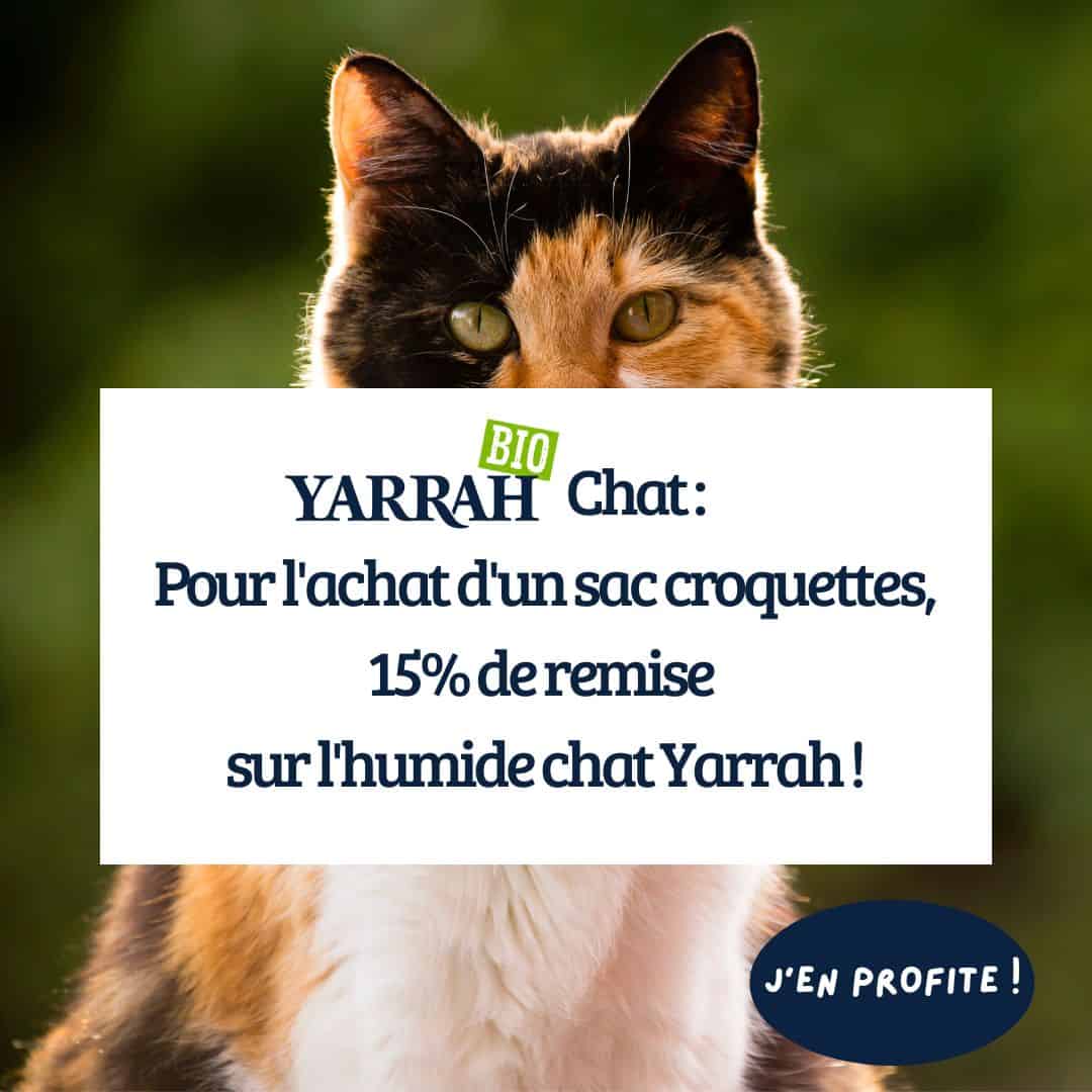 Bons plans