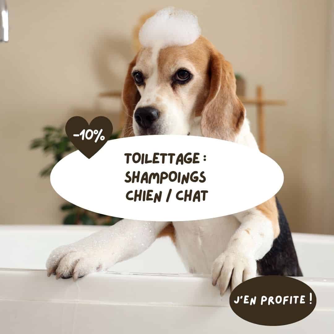 Toilettage : sélection de shampoings chien/chat avec remise de 10%