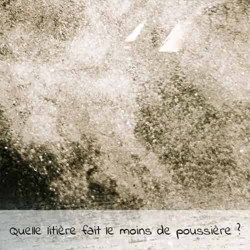 Quelle litière fait le moins de poussière ?